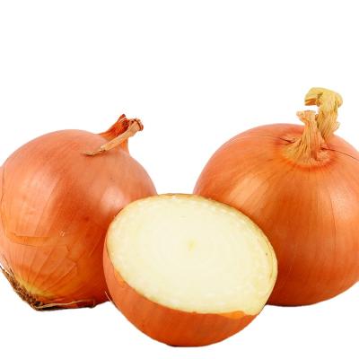 China Fresh Yellow Onions 25kg Bags Market Price Hot Selling Export for sale