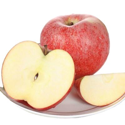 China 2021 Hot Sale Natural Chinese High Quality Sweet Red Fuji Apple Fresh Apple for sale