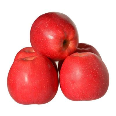 China 2020 natural export harvest supply fresh apple fruit with good price for sale