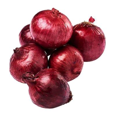 China Wholesale Fresh Red Onion Fresh By Ton Price By Onion Exporters for sale