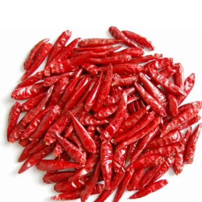 China Dry Chilli Dried Chili Peppers Best Quality Chili Pepper Wholesale for sale