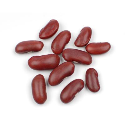 China Export Price Hot Selling Red Dwarf Beans Dry Red Kidney Beans With High Quality for sale