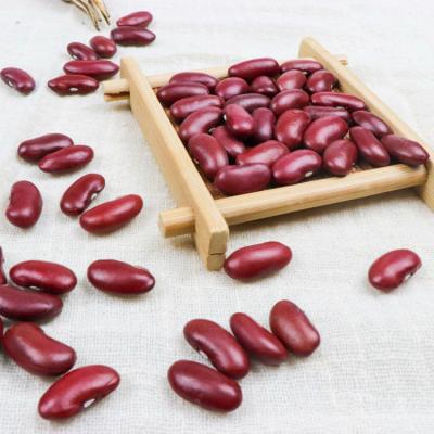 China Chinese Dried Dark Red Kidney Beans Dried Style Red Kidney Beans Wholesale for sale