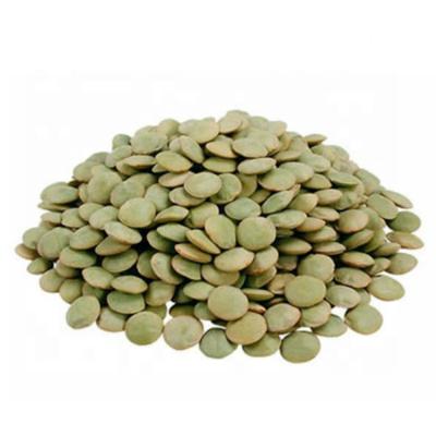 China Best Chinese Lentils Price Green Lentils Dry Export for sale