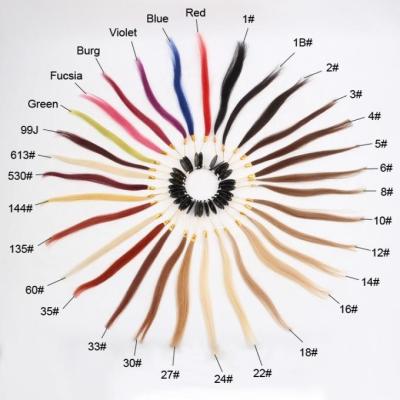 China Hair Extension Color Wheel, 20 CM 31 Colors Hair Extension Color Wheel For Sale for sale