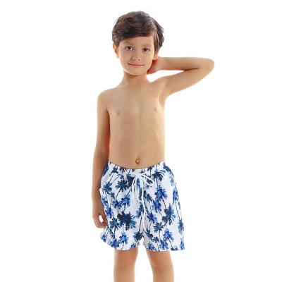 China Designer Swimwear Shorts Children Antibacterial Wholesale Swimwear Kids Swimming Suites Kids Boys for sale