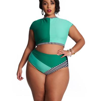 China Wholesale QUICK DRY Tummy Control Women's Top Plus Size Swimwear Swimming Suit Plus Size Bikini Swimsuit Plus Size Bikini for sale