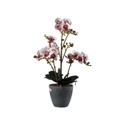 China Real Touch Best Design Real Touch Orchid Potted Phalaenopsis Flowers Artificial Wedding Decoration for sale