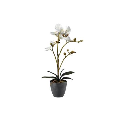 China Real Touch Artificial Garden Decoration Bonsai Phalaenopsis Orchids In Vase Artificial Flowers Real Touch for sale