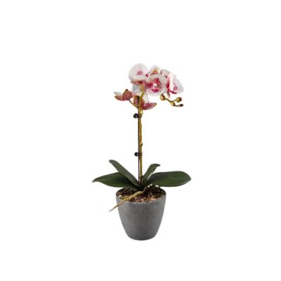 China Phalaenopsis Handwork Living Room Bedroom Real Touch Artificial Orchid Exquisite Decorative Flowers Potted Artificial Orchid In Vase for sale