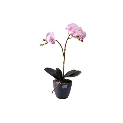 China Real Touch Real Touch Feeling Artificial Phalaenopsis Orchids In Vase Plastic Flowers Artificial Plant In Pot for sale