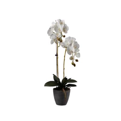 China Real Touch Life Style Real Touch Fabric Phalaenopsis Luxury Plastic Orchid Branch Decorative Flowers Artificial for sale