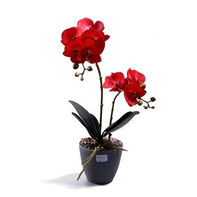 China Beautiful Real Touch Design Home Flower in Vase Garden Decoration Artificial Phalaenopsis Orchid Flower with Pot for sale