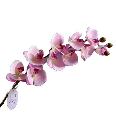 China 10 Phalaenopsis real touch factory sale various small artificial flower high quality factory main plastic branchs for sale