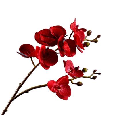 China Wholesale quality phalaenopsis unique plastic orchid factory touch guaranteed true artificial flowers from china for sale