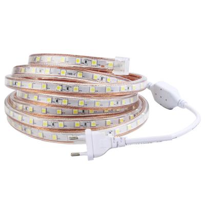 China LANDSCAPE 300leds/m 5050 High Voltage Led Strip Light Flexible Waterproof High Voltage Light Strip 220v for sale