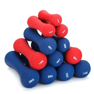 China Universal 1kg 2kg 3kg 4kg 5kg Vinyl Neoprene Dumbbell For Home Women Exercise Strength Training for sale