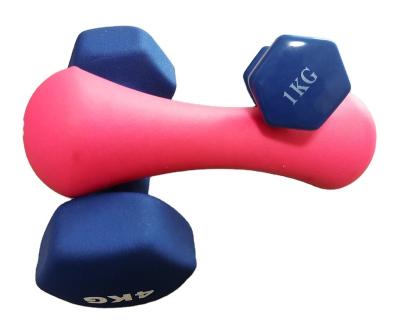 China Universal Vinyl Neoprene Dumbbell 1kg 2kg 3kg 4kg 5kg For Home Exercise Strength Training for sale