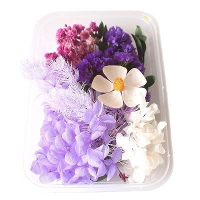 China Wholesale Dry Natural Touch Flower Dried Durable Secas For Resin Design for sale