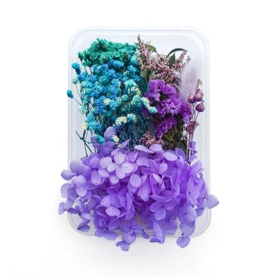 China Contact natural factory price preserved flowers everlasting flower secas for resin design for sale