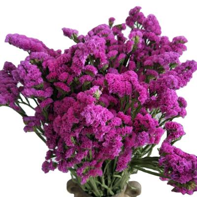 China Natural Contact Wholesale Dried Flowers Anniversary Funeral Flower Arrangement for sale