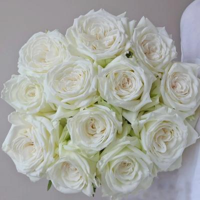 China Natural Touch Natural Farm Flowers Cut Flower Floral Fresh Roses Wholesale Flowers for sale