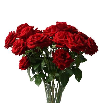 China Natural Touch Mothers Day Gifts Wedding Decoration Fresh Wholesale Flowers Rose for sale