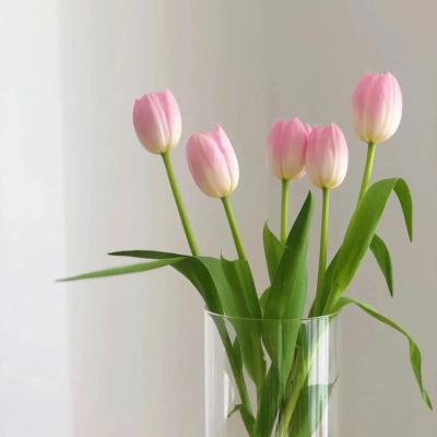 China Buy Natural Farm Contact Cut Flowers Tulip Bouquet Natural Bulk Fresh Flowers for sale