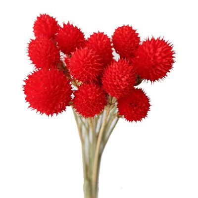 China Durable decorative flowers wedding decoration dried flower decorations for home for sale