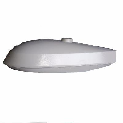 China 250W HY-1001 Highway Sodium Street Light HID Street Light for sale