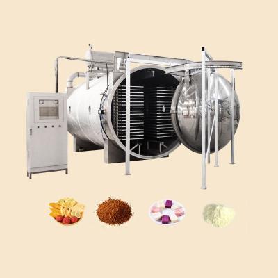 China High efficiency low cost milk freeze drying machine/freeze dried honey powder vacuum freeze drying machine for sale