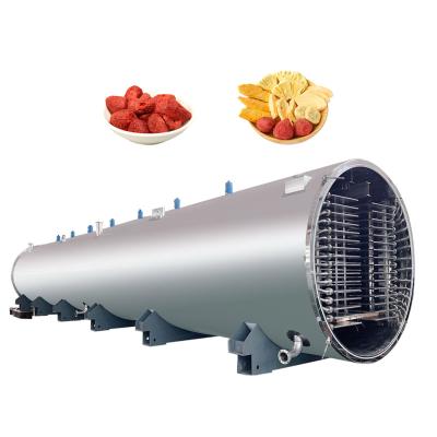 China High Efficiency Low Cost Food Freeze Drying Machine Vacuum Freeze Dryer Large Capacity Vacuum Drying Equipment for sale