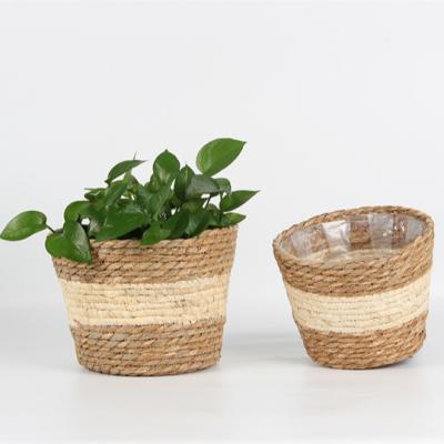 China Sustainable Typha Angustifolia Storage Bag Plant Storage Sustainable Hot Selling Custom Woven Paper Baskets for sale