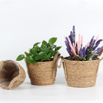 China Good Quality Typha Angustifolia Jute Sustainable Woven Plant Flower Storage Hoops Baskets for sale