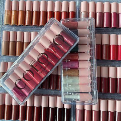 China COEOVO Waterproof 10 Pcs Waterproof Custom Logo Brand Nude Vegan Lipstick Matte Mini Private Label Liquid Lipgloss Lip Gloss Set for sale