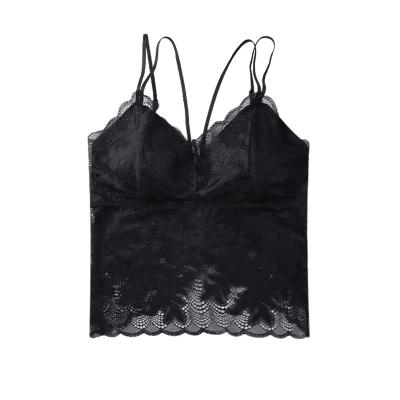 China 2022 New Fashion Lace Vest Sexy Bra Women's Beautiful Antibacterial Back Floral Yoga Bra For Women for sale