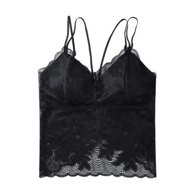 China Wholesale Antibacterial Comfortable Sexy Fancy Lace Vest Women Black Breathable Bra for sale