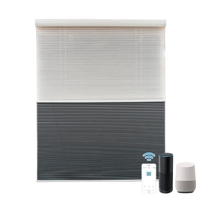 China Morden Luxury Motorized Bottom Blinds Double Cell Honeycomb Blinds Cordless Pleated Honeycomb Cellular Shade Shade for sale