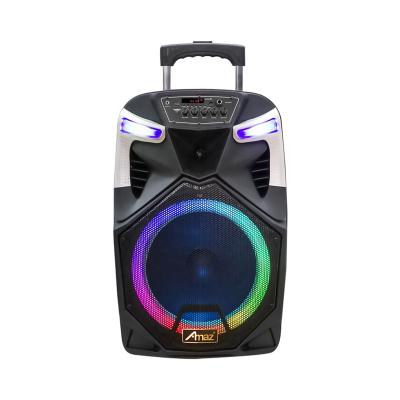 China Factory direct sales wireless 12 inch portable wireless outdoor trolley speaker portable speaker for sale