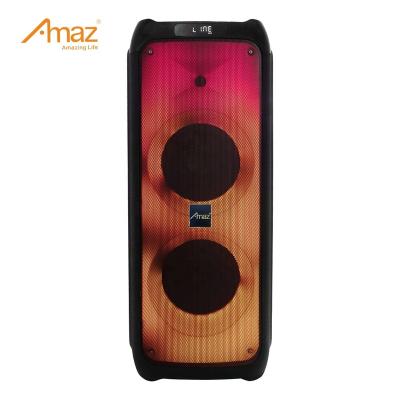 China No Hot Selling Temeisheng New Rock Party Speaker Party Active Speaker for sale