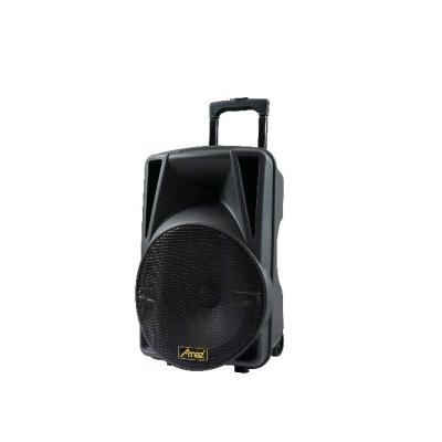 China Wireless System Temeisheng Trolley Professional Wireless Speaker Portable 2022 Speaker for sale