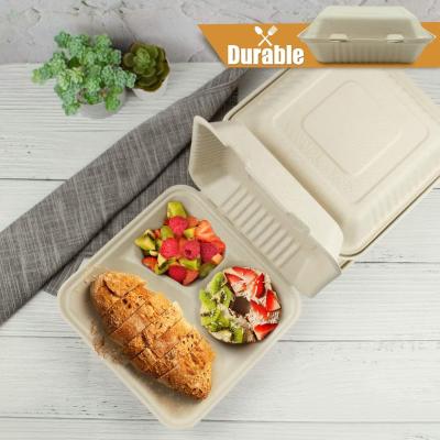 China 2 Compartment G04 Wholesale Safe Microwave Safe Takeaway Microwave Safe Food Storage Container Boxes Divided Biodegradable Caterer for sale