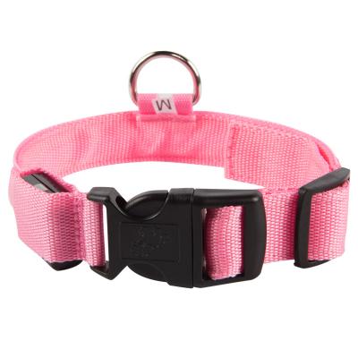 China Insurance Dogs Commercial Dog Collar And Leash Set Sincerely Led Lightweight Dog Collar for sale