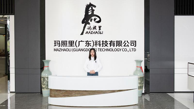 Verified China supplier - Mazhaoli (guangdong) Technology Co., Ltd.