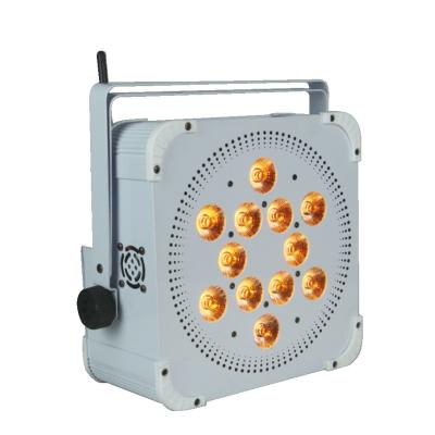 China Theme Park Customized 12 Pcs High Quality Waterproof Battery Lights Powered Par Light for sale