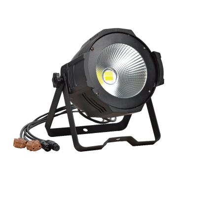 China Theme Park Favorable Price Useful Cob Led Battery Par Light Outdoor Stage Radio for sale