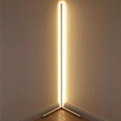 China Modern Nordic Modern Line Floor Lamp Living Room Bedroom Warm Adjustable Light Minimalist LED Floor Lamp for sale