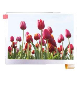 China 5.6 Inch tft lcd Panel for sale