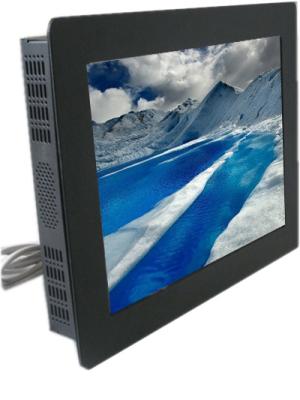 China opciones de 12,1” del panel del soporte del lcd de la exhibición IP series industriales y del tacto en venta