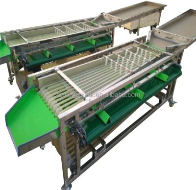 China Easy Operation Megaplant Commerical Edible Passion Flower Processing Avocado Onion Dimension Grading Sorter for sale